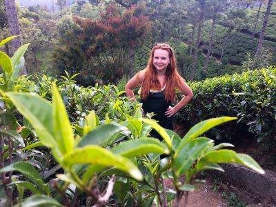 Путешествие на Цейлон за цейлонским чаем - piligrimos.com - Англия - Китай - Шри Ланка