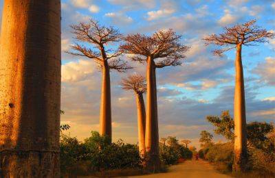 «Белая лилия в нежной руке»: 10 самых красивых стран Африки - gloss.ee - Египет - Эстония - Кения - Танзания - Марокко