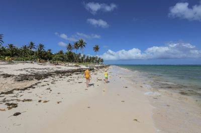 Доминикана выдает бесплатные страховки туристам - triphearts.com - Доминиканская Республика