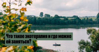 Что такое экотерапия и где можно ей заняться? - 34travel.me - Сша - Япония - Польша - Белоруссия - Грузия - Литва