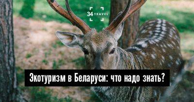 Экотуризм в Беларуси: что надо знать? - 34travel.me - Белоруссия