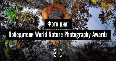 Фото дня: Победители World Nature Photography Awards - 34travel.me - Канада