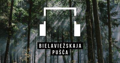 Bielaviezhskaja Pushcha: audioguide - 34travel.me
