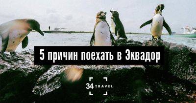 5 причин поехать в Эквадор - 34travel.me - Колумбия - Бразилия