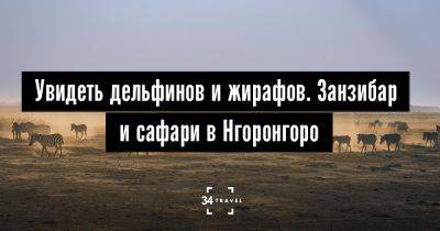 Увидеть дельфинов и жирафов. Занзибар и сафари в Нгоронгоро - 34travel.me - Куба - Танзания