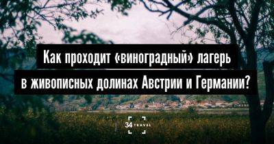 Волонтерство: «виноградный» лагерь в живописных долинах Австрии и Германии - 34travel.me - Германия - Сербия - Австрия - Италия - Польша - Испания - Бельгия - Швейцария - Чехия