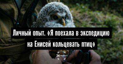 Личный опыт. «Я поехала в экспедицию на Енисей кольцевать птиц» - 34travel.me - Россия