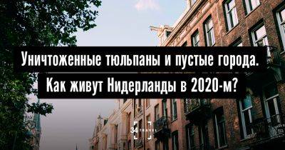 Уничтоженные тюльпаны и пустые города. Как живут Нидерланды в 2020-м? - 34travel.me - Голландия