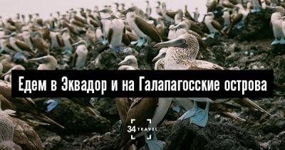 Едем в Эквадор и на Галапагосские острова - 34travel.me - Германия - Сша - Таиланд - Турция - Испания