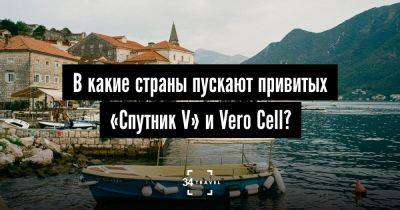 В какие страны пускают привитых «Спутник V» и Vero Cell без ПЦР-теста? - 34travel.me - Австрия - Армения - Грузия - Молдавия - Болгария - Киргизия