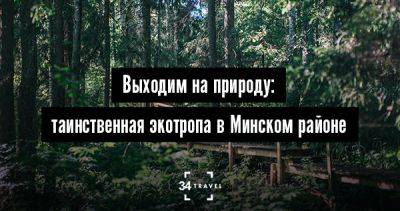 Выходим на природу: таинственная экотропа в Минском районе - 34travel.me - Белоруссия