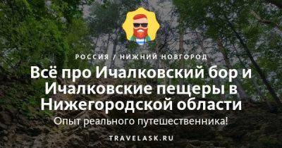 Ичалковский бор и Ичалковские пещеры в Нижегородской области 2023: как добраться, что посмотреть - travelask.ru