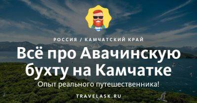 Авачинская бухта на Камчатке 2023: где находится, как добраться, чем заняться - travelask.ru - Россия