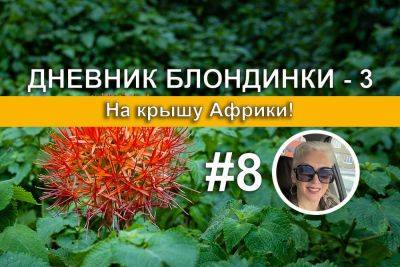 Спуск с Килиманджаро - отзыв о восхождении на Килиманджаро (Танзания) - Дневник блондинки - 3 - gekkon.club - Танзания