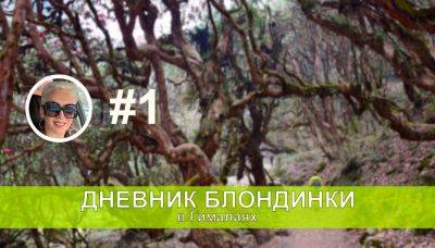 Подъем в Уллери 2870 м - день первый - отзыв о треке в базовый лагерь Аннапурны. Дневник блондинки в Гималаях - gekkon.club