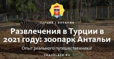 Зоопарк в Анталии в 2023 году: как работает, цены, стоит ли идти - travelask.ru - Турция