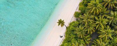 Мальдивы: шесть необычных активностей - onetwotrip.com - Апсны - Мальдивы