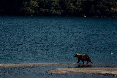 Курильское озеро: место красной воды и медвежьей рыбалки - russiadiscovery.ru - Россия