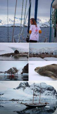 Проверено на себе: экспедиция в Антарктиду на паруснике - russiadiscovery.ru