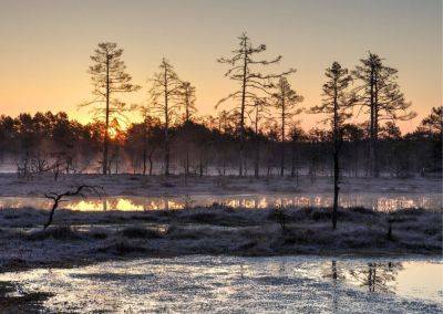 6 маршрутов по эстонским болотам для начинающих - gloss.ee - Эстония