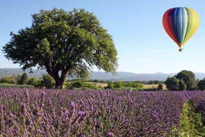 Полет на воздушном шаре над виноградниками: летние активности на юге Франции - gloss.ee - Эстония