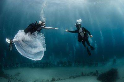 Глубокие чувства: в Монако можно провести свадебную церемонию под водой - gloss.ee - Эстония