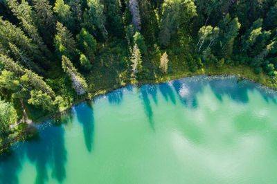 Изумрудное озеро, новый водный центр и еще 4 места в Тырва, которые нужно посетить этим летом - gloss.ee - Эстония