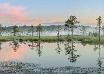 Возможно только в Эстонии: 9 болот, где хорошо купаться летом - gloss.ee - Эстония