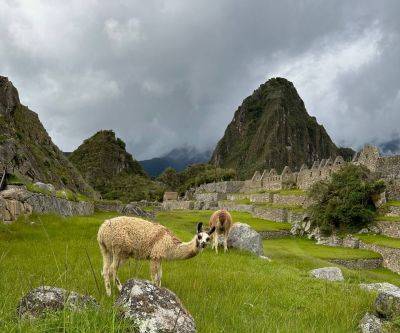 Перу — страна загадок, инков и милых альпак: что нужно знать перед поездкой - piligrimos.com - Колумбия - Россия - Турция - Бразилия