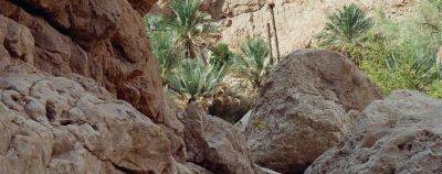 Маскат: оазисы, белые скалы и восточный рынок - onetwotrip.com - Эмираты