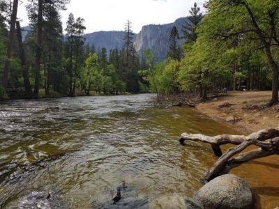 От Йосемити до Долины смерти: национальные парки Калифорнии, которые не оставят равнодушными - piligrimos.com - Нью-Йорк - Сша - Италия - штат Калифорния