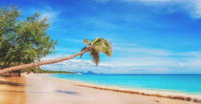 Пикантный отдых: что нужно знать о нудистских пляжах? - piligrimos.com - Сша - Франция - Хорватия - Греция - штат Гавайи