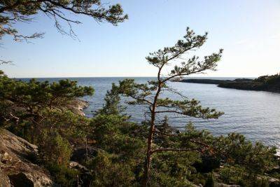 Финский залив: карта, фото, достопримечательности - sova.live - Россия - Эстония