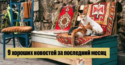9 хороших новостей за последний месяц - 34travel.me - Англия
