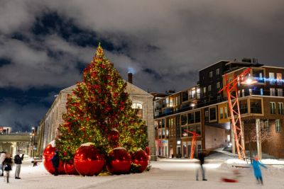 15 рождественских ёлок Эстонии: в каком городе самая красивая? - gloss.ee - Сша - Эстония