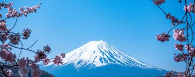 Тревел-календарь на 2026 год: 50 идей для путешествий по России и миру на каждый месяц - onetwotrip.com - Россия - Египет