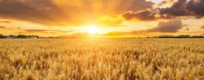 Чем заняться в Удмуртии: перепечи, бабушки из Бураново и Чайковский - onetwotrip.com