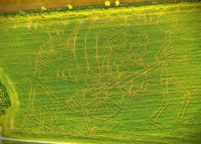 В Эстонии появился кукурузный лабиринт в форме скелетов и надписи «Ma armastan Eestit» - gloss.ee - Эстония