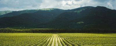 «Винные дороги Краснодарского края»: новый автомаршрут по винодельням - onetwotrip.com - Россия