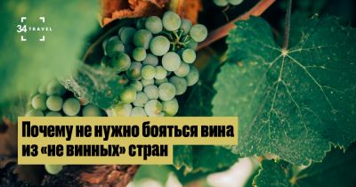 Польское вино? Чешское? Словацкое?! Почему не нужно бояться вина из «не винных» стран - 34travel.me - Франция - Италия - Польша - Испания - Чехия