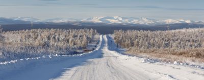Авиабилет последние статьи