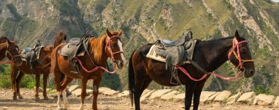 «Киберпонедельник» — отели со скидками до 60% - onetwotrip.com - республика Крым