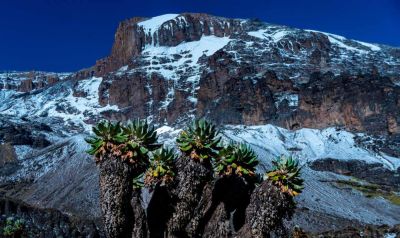 Есть вершина! Восхождение на «Крышу Африки» завершилось успешно! - GEKKON.CLUB ТУР - gekkon.club