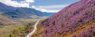 Куда поехать весной: 10 лучших мест для созерцания цветения - onetwotrip.com - Россия - республика Крым