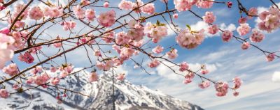 Куда поехать весной в России: 12 лучших городов - onetwotrip.com - Россия - Российская Империя