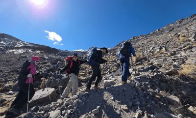 Маршрут последние статьи