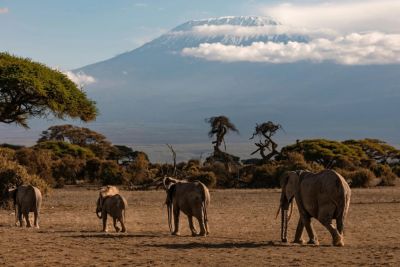 В Таллинне пройдёт Tourest 2026: больше стран, новые направления и впервые — Кения и Индия - gloss.ee - Япония - Кипр - Индия - Литва - Эстония - Кения - Норвегия