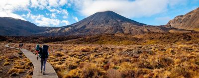 Что посмотреть в Новой Зеландии: 12 главных природных чудес - onetwotrip.com - Новая Зеландия