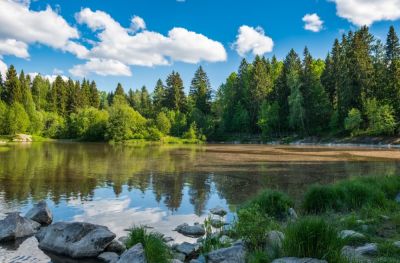 Финляндия ищет пары, готовые бесплатно провести неделю в стиле «самой счастливой страны мира» - gloss.ee - Эстония