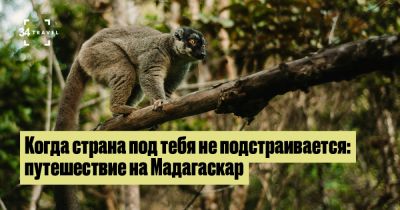 Отель последние статьи